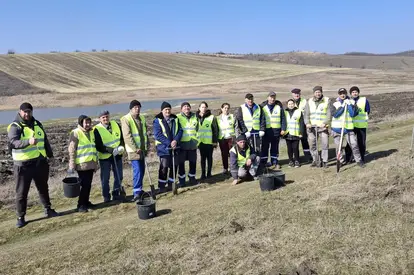 Floarea Soarelui SA se alătură Programului național de extindere și reabilitare a pădurilor