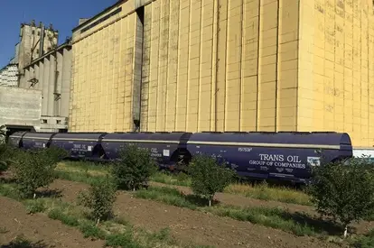 Grupul de companii Transoil anunță achiziționarea a 100 de vagoane de cale ferată pentru transportul cerealelor