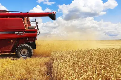 In 2017, the wheat yield in Moldova increased by almost 20%